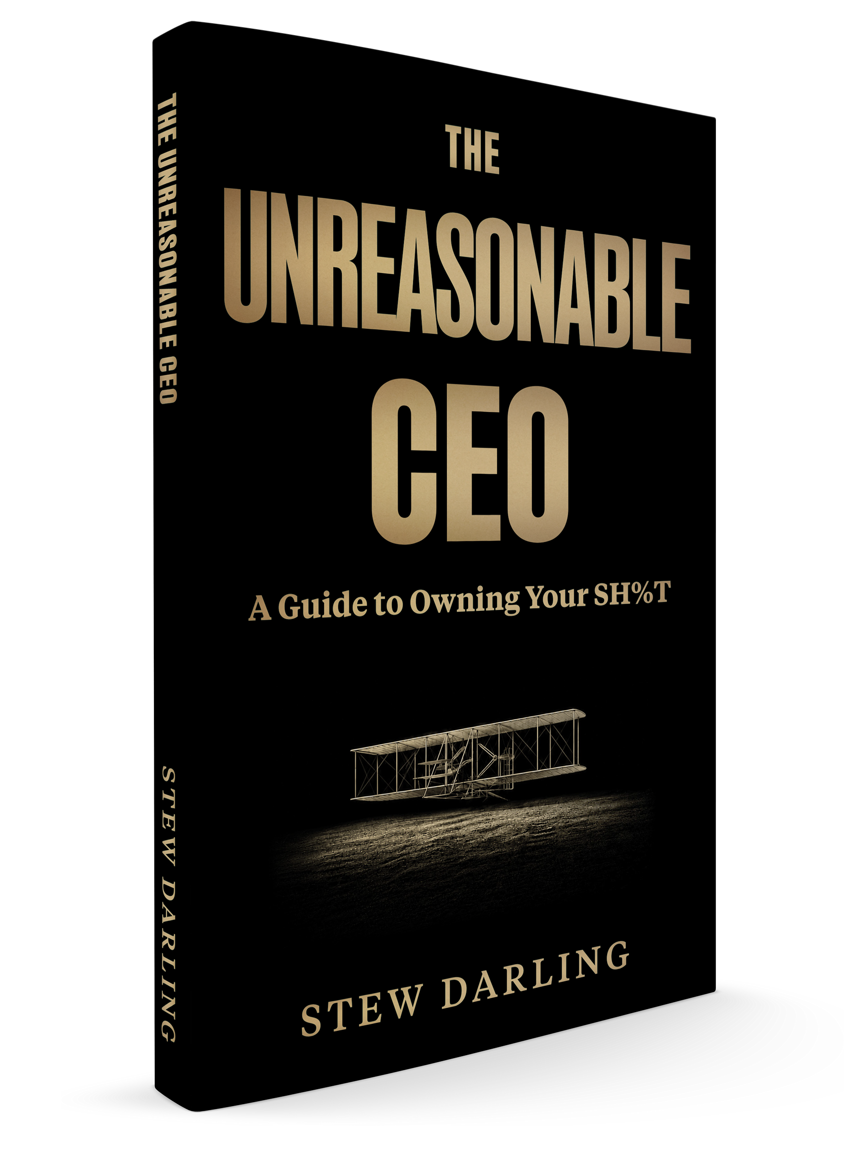 The Unreasonable CEO by Stew Darling